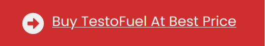 testo fuel price-41